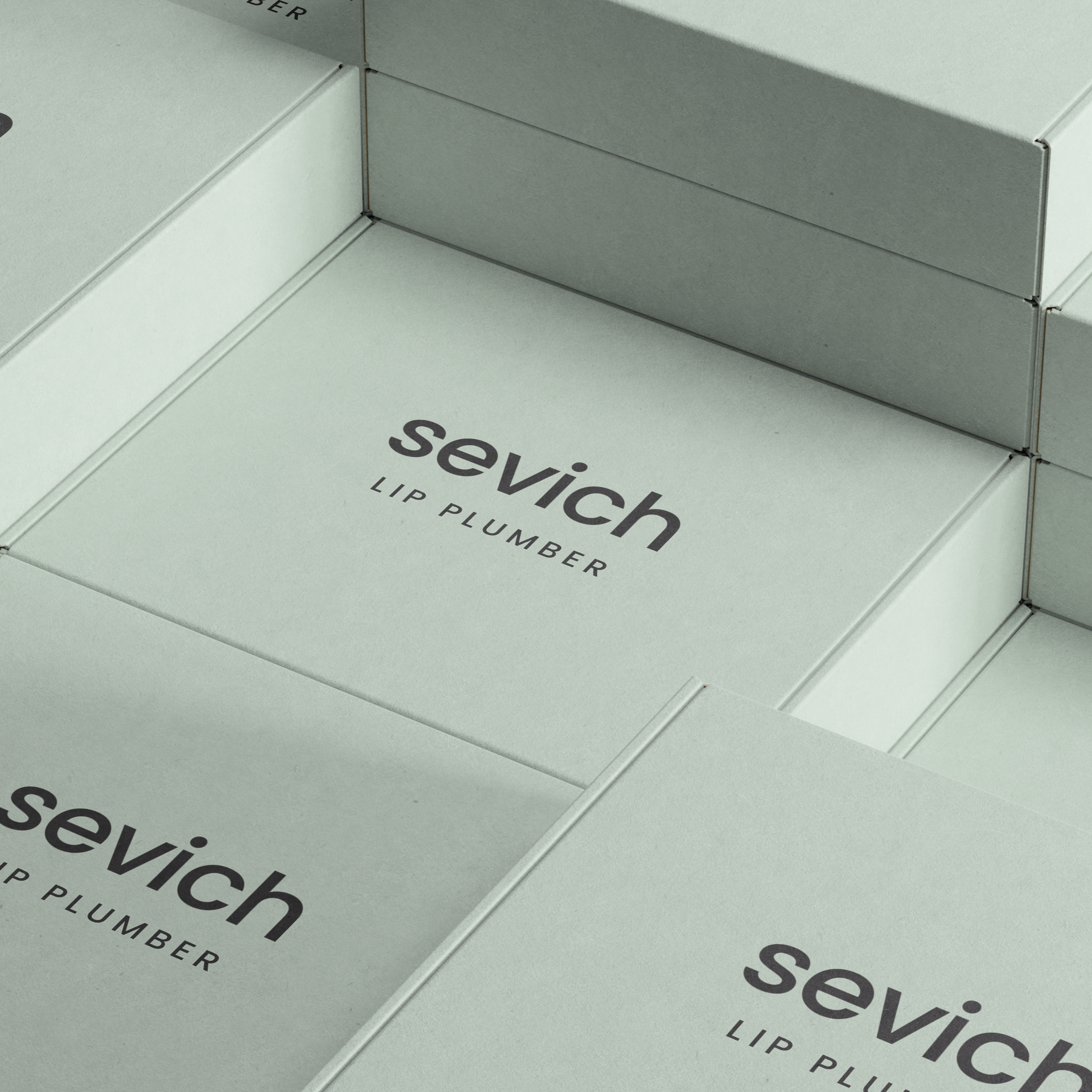 S E V I C H